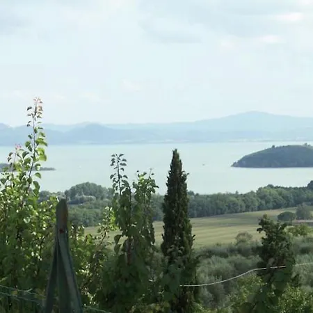 Holiday Paradise Tatil Evi