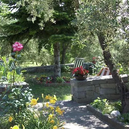 Tatil Evi Holiday Paradise *