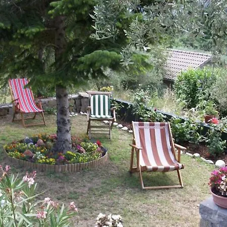 Holiday Paradise *