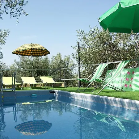 Holiday Paradise